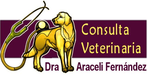 Consulta Veterinaria Araceli Fernandez